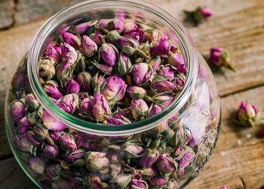 گل محمدی و ویژگی های آن